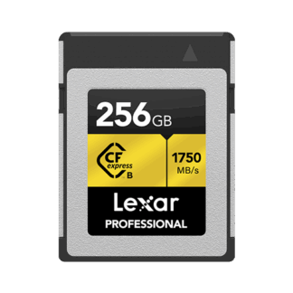 Memoria Lexar C-F 256 GB 1750mb Type B Serie Gold 10494-9