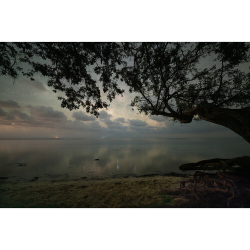 Sigma 14mm F/1.4 DG DN Art para sony E - Imagen 6